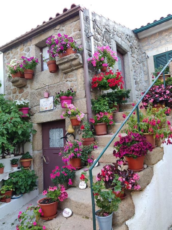 3 Marias Da Fonte Villa Lousã Екстериор снимка